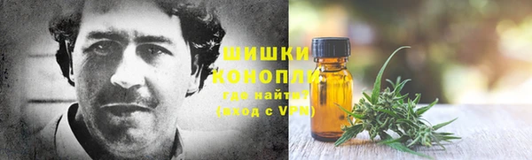 эйфоретик Майский