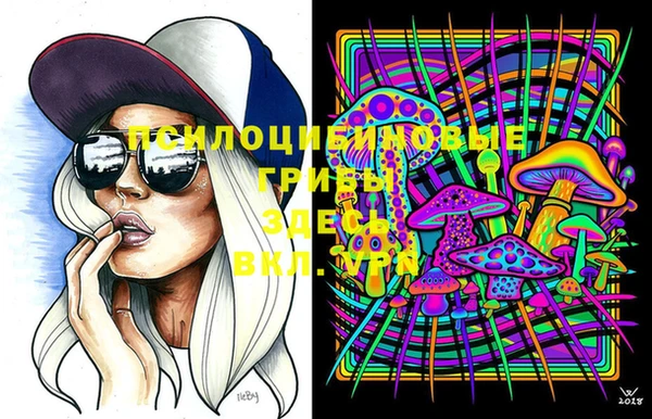 spice Магадан