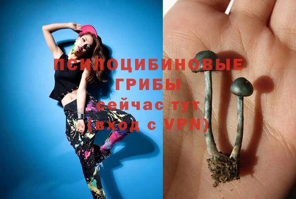 тгк Апатиты
