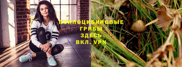apvp Липки