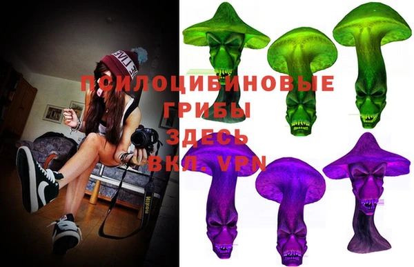 тгк Апатиты