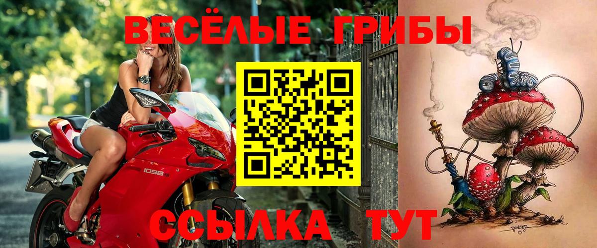 Галлюциногенные грибы мицелий Усть-Илимск