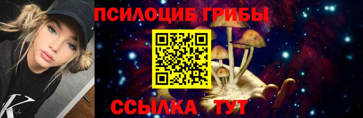 Псилоцибиновые грибы мицелий  купить наркотик  Усть-Илимск  Вход с VPN 